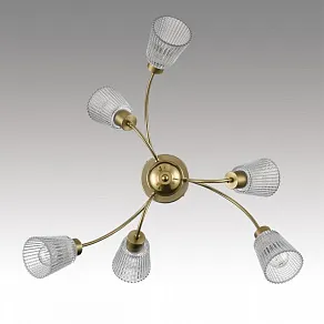 Люстра на штанге Lumion IMANA 8154/6C