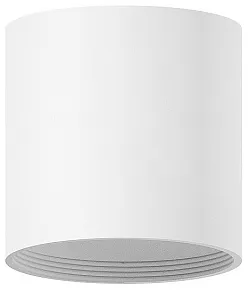 Накладной светильник Ambrella Light C C6301