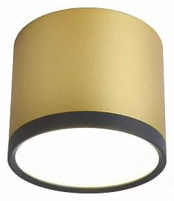 Накладной светильник Favourite Baral 3082-2C