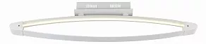 Накладной светильник ST-Luce SL920 SL920.102.01