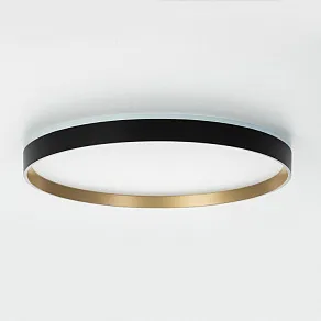 Накладной светильник Citilux ETALON CL750401R