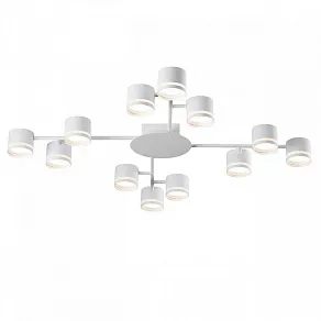 Потолочная люстра Lumion Gareta 8235/12C