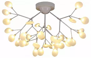Потолочная люстра EVOLUCE Avola SLE250102-36