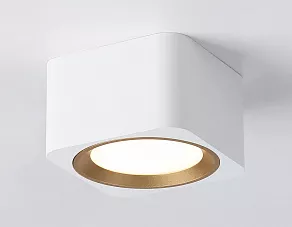 Накладной светильник Ambrella TN TN70831