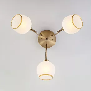 Потолочная люстра Eurosvet Brooksy a044954