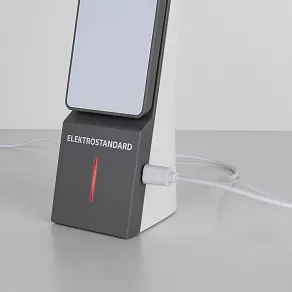 Настольная лампа офисная Elektrostandard TL90450 a039416