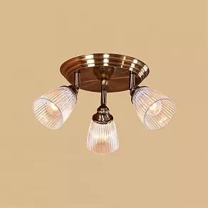 Спот Citilux Виндзор CL539631