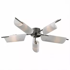 Потолочная люстра Odeon Light Ray 2014/5C