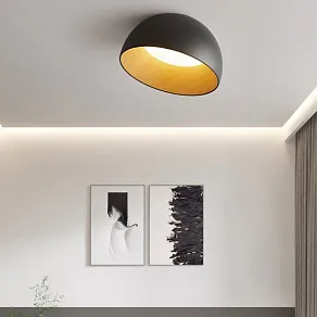 Накладной светильник Imperiumloft Bara01 223994-23