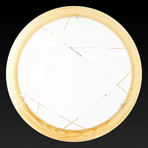 Накладной светильник TopLight Karen TL9013Y-02PN