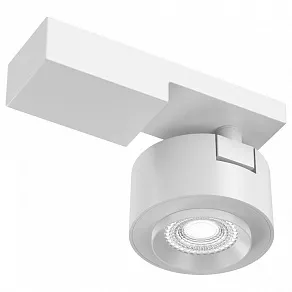 Светильник на штанге Maytoni Treo C062CL-L12W4K