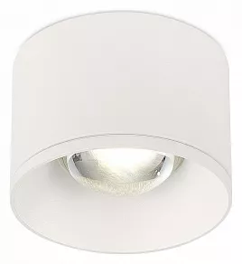 Накладной светильник SIMPLE STORY 2060 2060-LED7CLW
