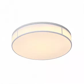 Накладной светильник ST-Luce Fella SL417.502.01