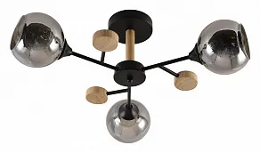 Люстра на штанге Rivoli Elouisa Б0068419