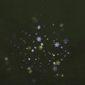 Настенный прожектор Sneha  00328-0.2-01