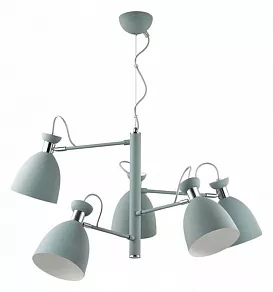 Подвесная люстра Lumion Kizzy 3735/5