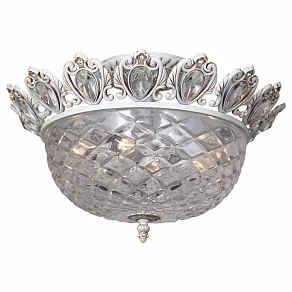 Накладной светильник Favourite Becken 1537-4U