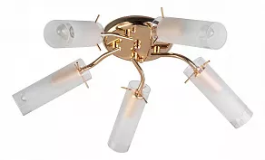 Потолочная люстра TopLight Brittany TL7130X-05FG