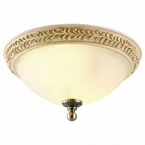 Накладной светильник Arte Lamp Ivory A9070PL-2AB