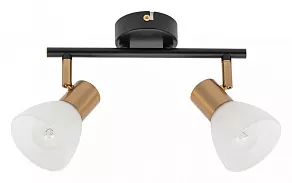 Спот Arte Lamp Falena A3117PL-2BK