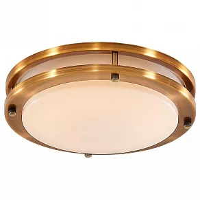 Накладной светильник Citilux Бостон CL709153