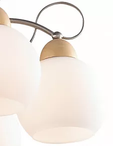 Люстра на штанге Odeon Light Narbo 2658/6C
