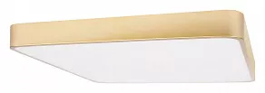 Накладной светильник Loft it Flims 10228/D