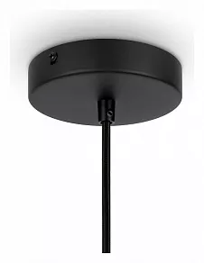 Подвесной светильник Maytoni Roots MOD191PL-01W