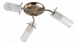Потолочная люстра TopLight Brittany TL7130X-03AB