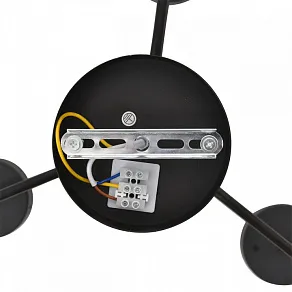 Люстра на штанге Lumion NATALINA 8349/6C