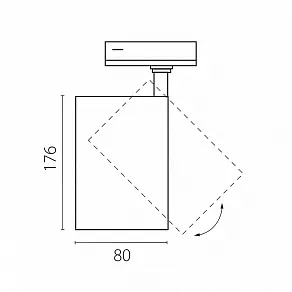 Светильник на штанге Lightstar Canno Pro C4306SS