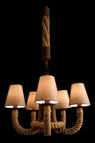 Подвесная люстра Arte Lamp Corda A8958LM-5BR