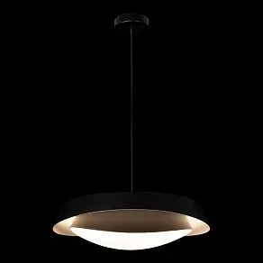 Подвесной светильник Loft it Petale 10256P Black