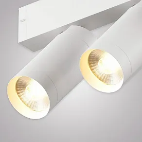 Светильник на штанге AM-Group SMART CYLINDER AM528 WH-220V-2X10W SMART