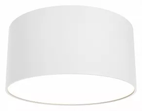 Накладной светильник Maytoni Zon C032CL-12W3K-RD-W