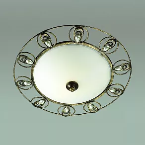 Накладной светильник Odeon Light Kanti 3484/2C