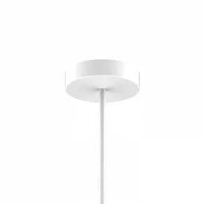 Подвесная люстра Favourite Duplex 2323-12P