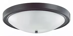 Накладной светильник Lumion Nina 5260/4C