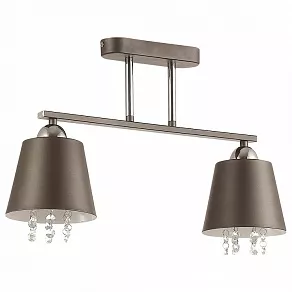 Светильник на штанге Lumion Hannah 3647/2C
