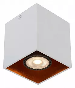 Накладной светильник Lucide Bodibis 22966/01/31