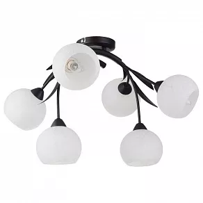 Потолочная люстра Lussole Bagheria GRLSF-6283-06