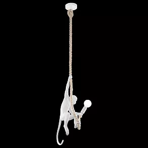 Подвесной светильник EVOLUCE Tenato SLE115103-01