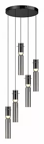 Подвесная люстра Odeon Light Scrow 5058/25L