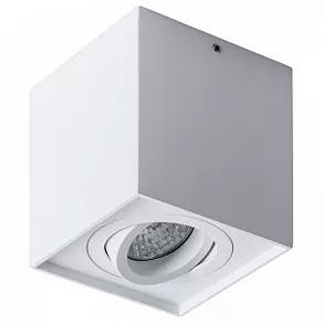 Накладной светильник Arte Lamp Factor A5544PL-1WH