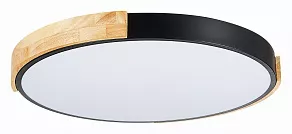 Накладной светильник EVOLUCE Delia SLE201342-01