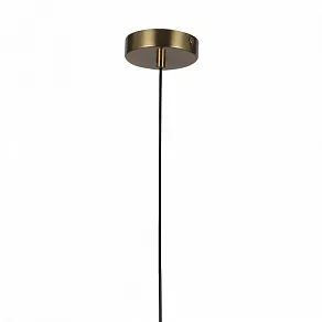 Подвесной светильник F-promo Roshni 3049-1P