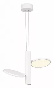 Подвесной светильник Lussole Aberdeen LSP-7085