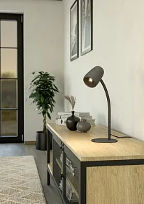 Настольная лампа декоративная Eglo CARLO 901828