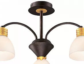 Люстра на штанге Odeon Light Tanais 2624/3C