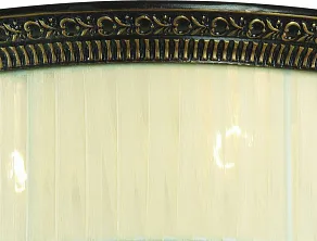 Накладной светильник ST-Luce Vincitore SL134.402.03
